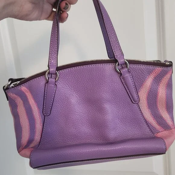 Coach Hand painted Rapunzel Purse - Picture 4 of 4